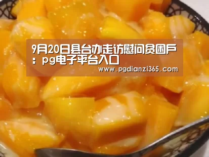 pg电子平台入口官网