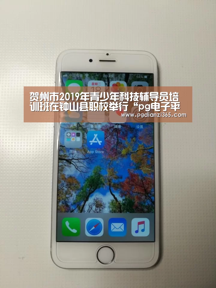贺州市2019年青少年科技辅导员培训班在钟山县职校举行“pg电子平台入口官网”(图2) pg电子平台入口官网