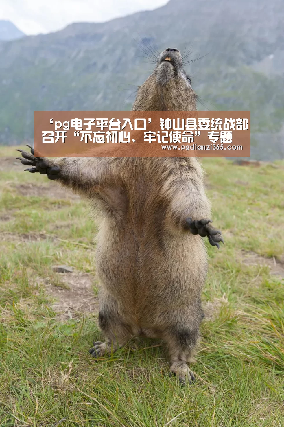 ‘pg电子平台入口’钟山县委统战部召开“不忘初心、牢记使命”专题民主生活会(图1)