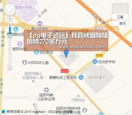 pg电子平台入口官网